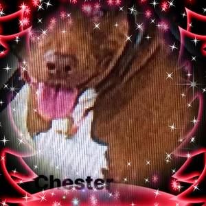 Meet your Posher, Alonso